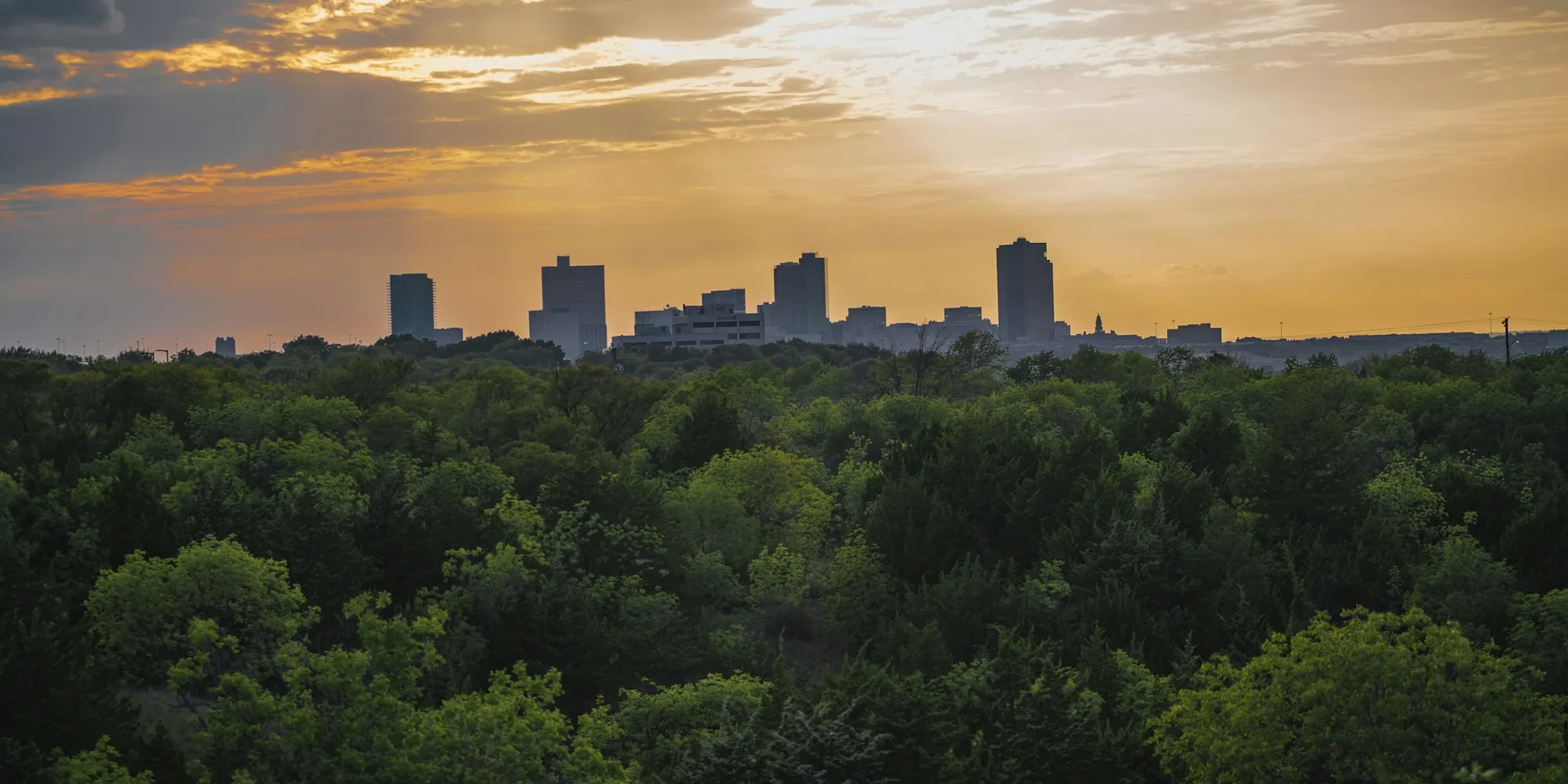 Downtown Fort Worth skyline at golden hour above a tree line